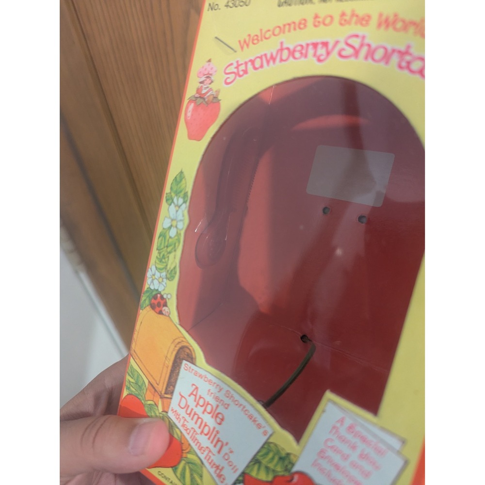 Vintage 1980 Strawberry Shortcake Apple Dumplin Doll w/ Box & Comb Kenner - Picture 15 of 16